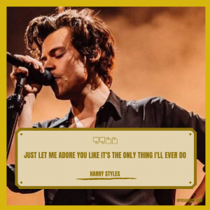 Harry Styles Quotes Stage