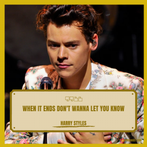 Best Harry Styles Quotes Funny Image