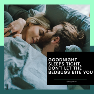 Goodnight Handsome Quotes For Instagram